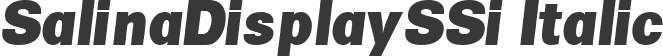 SalinaDisplaySSi Italic