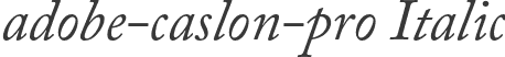 adobe-caslon-pro Italic