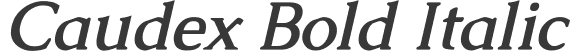 Caudex Bold Italic