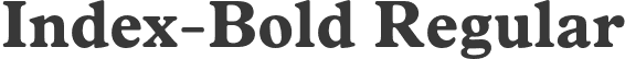 Index-Bold Regular