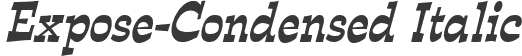 Expose-Condensed Italic