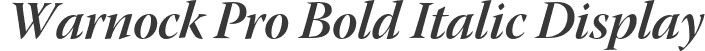 Warnock Pro Bold Italic Display