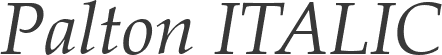 Palton ITALIC