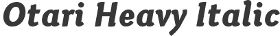 Otari Heavy Italic