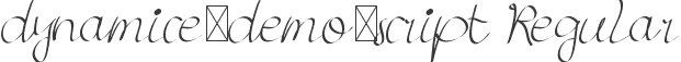 dynamice-demo-script Regular