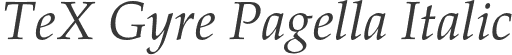TeX Gyre Pagella Italic
