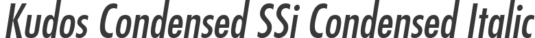 Kudos Condensed SSi Condensed Italic