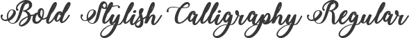 Bold  Stylish Calligraphy Regular