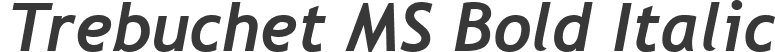 Trebuchet MS Bold Italic