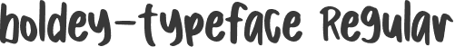 boldey-typeface Regular