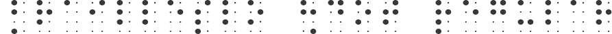 BrailleSlo 8dot Regular