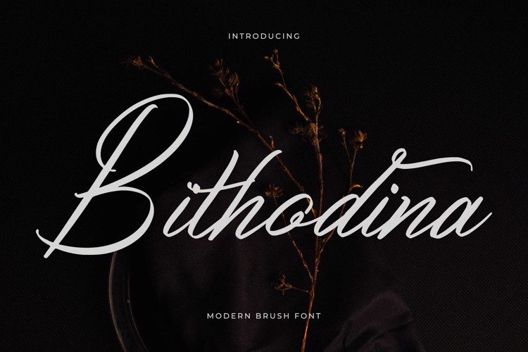 Bithodina Font