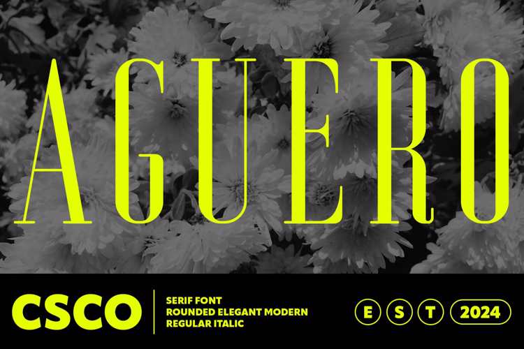 Aguero Serif Rounded Font