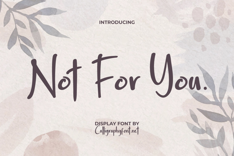 Not For You Font