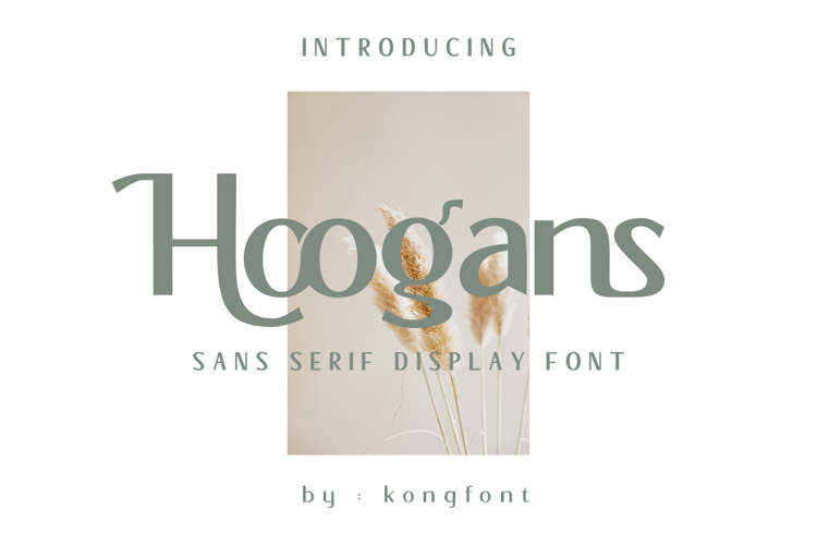 Hoogans Font