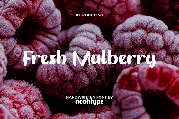 Fresh Mulberry Font