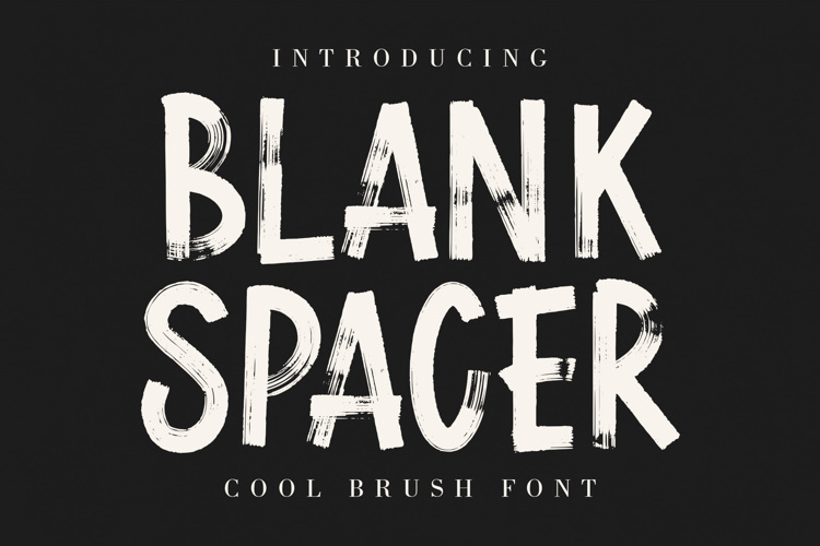 BLANK SPACER Font
