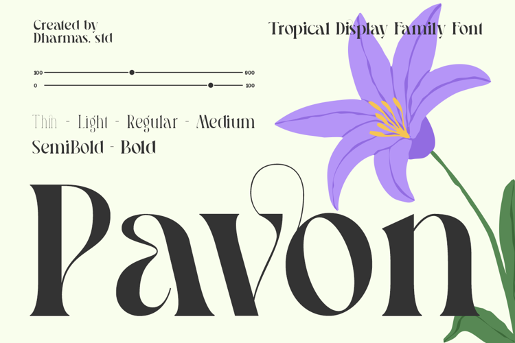 Pavon Font