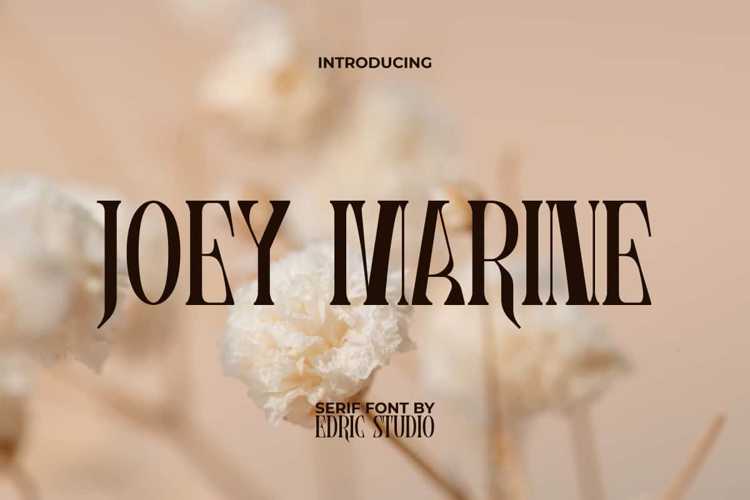 Joey Marine Font