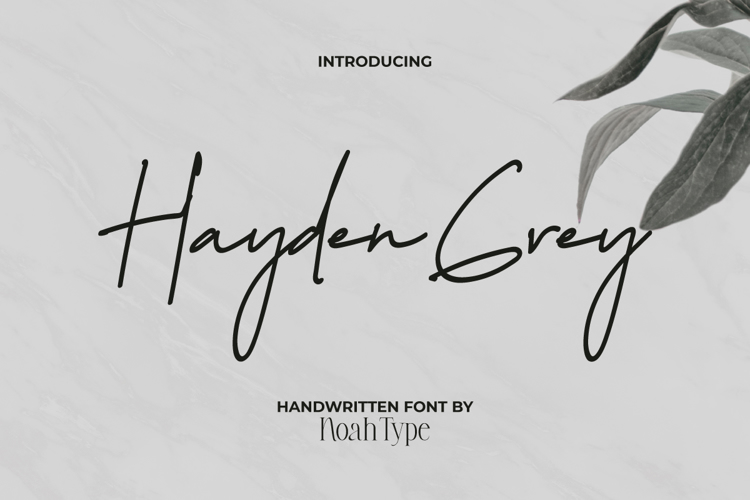 Hayden Grey Font