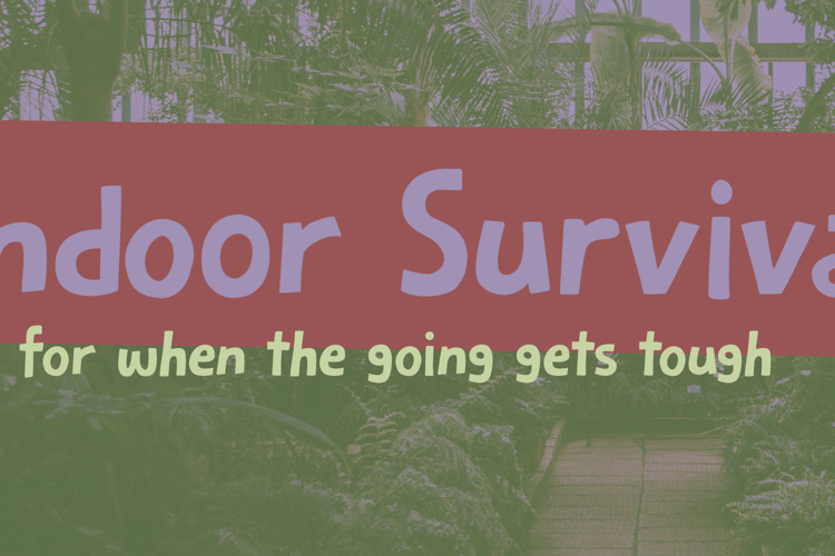 Indoor Survival Font