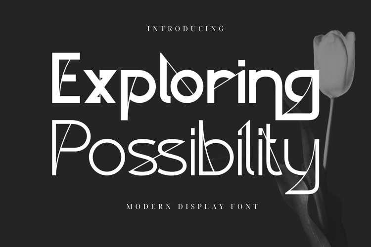 Exploring Possibility Font