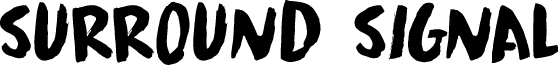 Surround Signal DEMO Regular