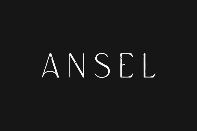 Ansel Font