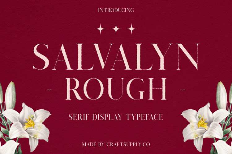 Salvalyn Rough Font